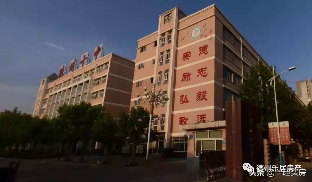 2023年德城区小学学区划分变化,德城区学区新政