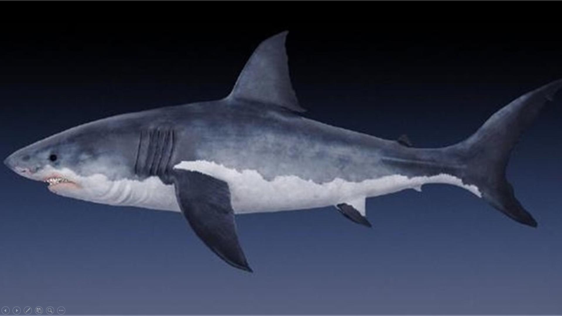 罗永浩谈演讲,罗永浩老人与海演讲