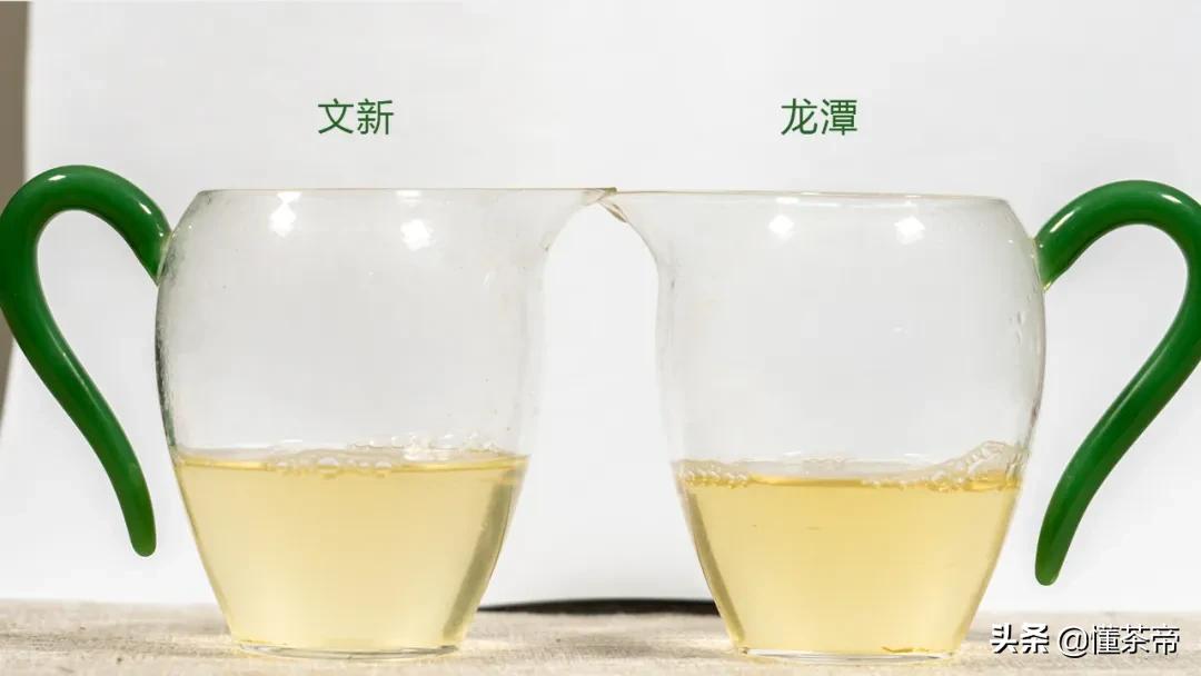 信阳毛尖绿茶测评,信阳毛尖评测