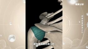 肩疼不是肩周炎是什么病,肩袖撕裂和肩部拉伤和肩周炎区别