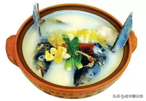 渔民一网捞起价值200万鱼群 (渔民捞到一网鱼价值400万)