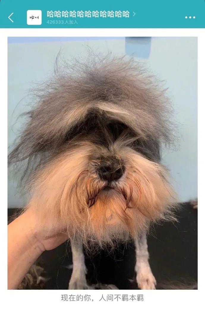 脚臭的女孩颜值高吗,长得好看的女生都有狐臭吗