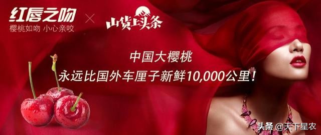 易果生鲜破产生鲜电商有多难,剖析易果生鲜11年的发展之路