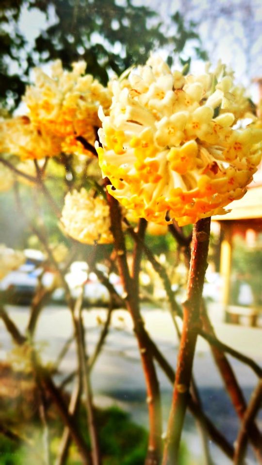 合肥学校里的网红,合肥最牛的初中学校