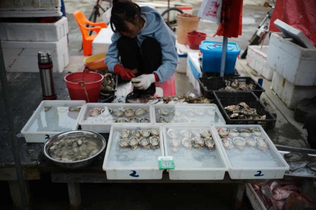 在海南岛最霸气的渔港码头,海南十大渔港码头