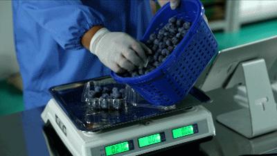 昆明买水果推荐,昆明买水果好去处