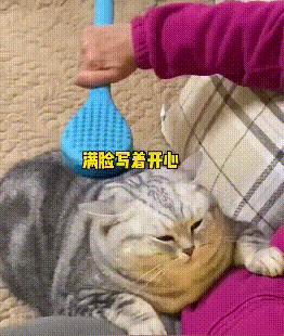 大吐槽：“快住手啊，他们说的3P不是这个意思”