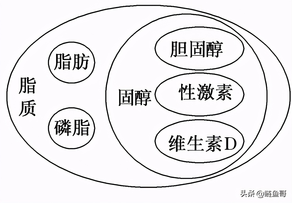 茶叶所含的都有什么元素,茶叶含有茶多酚有什么作用