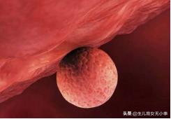 子宫内膜是生命的土壤，它到底是怎么回事？是如何发挥作用的？