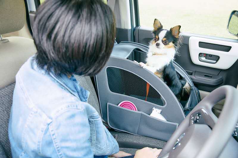 街上最靓的仔改车,本田8代思域带改装件出售