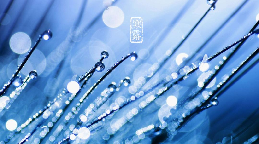 古人咏寒露的诗词,寒露古诗词鉴赏