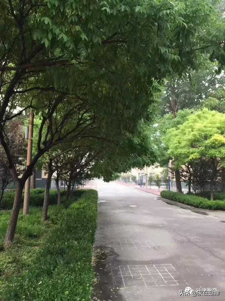 延津石婆固中心校,延津石婆固学校