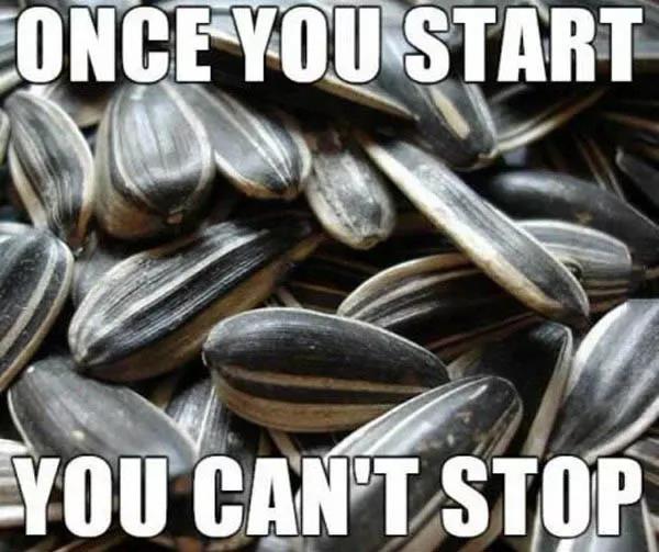 你精通嗑瓜子的艺术了没？当歪果仁开始学中国人嗑瓜子……