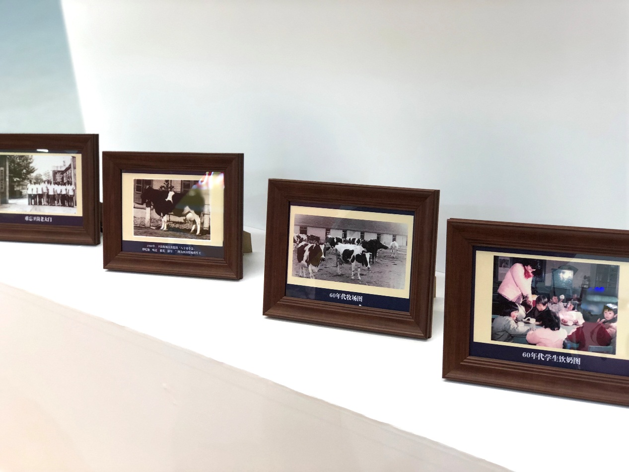 中国乳业之殇,中国乳业十年