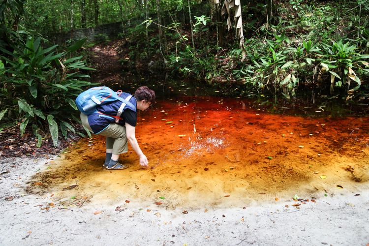 南美之旅总结篇,南美之行结束感悟