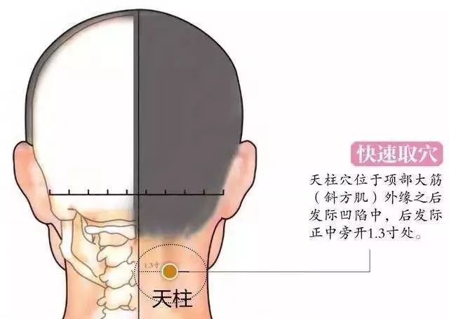 人一生中哪个穴位按摩对人身体好,人一生经络穴位
