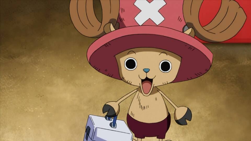 海贼王都有谁认出了帽子,海贼王巨大的草帽是谁的