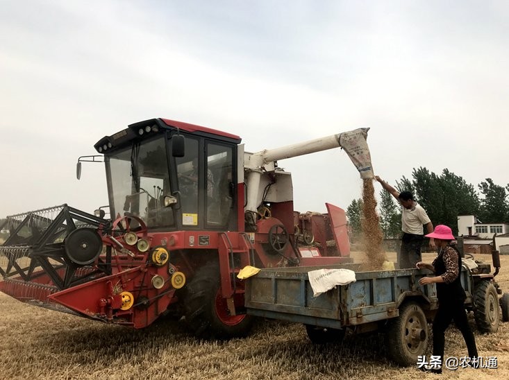 新疆8号小麦收割机,新疆8号小麦收割机收割视频