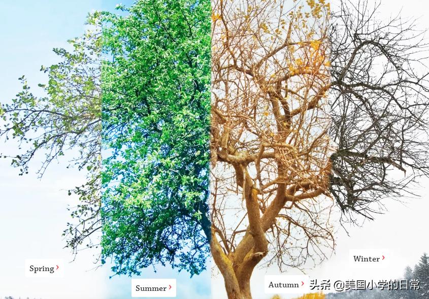 可以科普各类知识的免费app,有哪些免费的知识平台