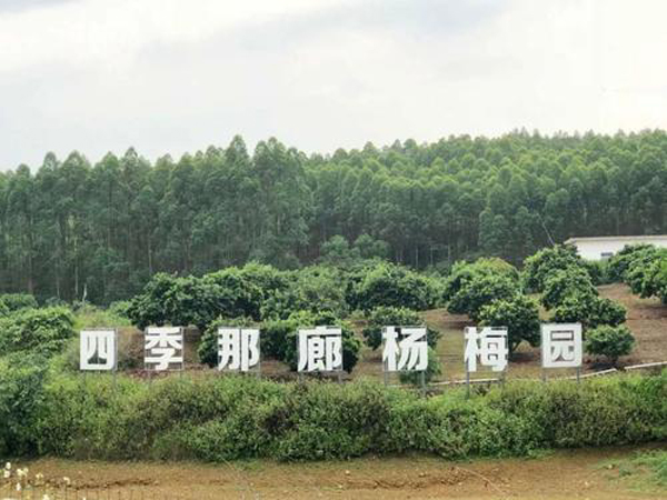 南宁隐藏的景点,南宁周边农家乐游玩景点推荐