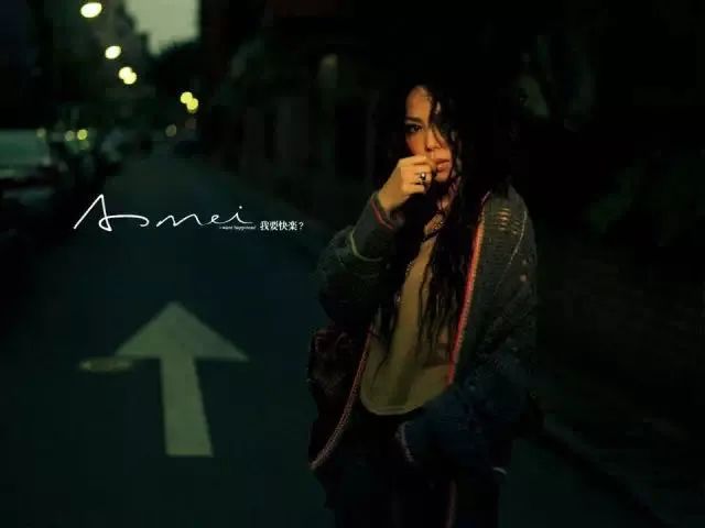 张惠妹华语女歌手第一人,张惠妹偷故事的人演唱会