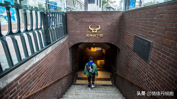 皇家加勒比邮轮量子号新加坡出发,皇家加勒比海洋量子号邮轮之旅