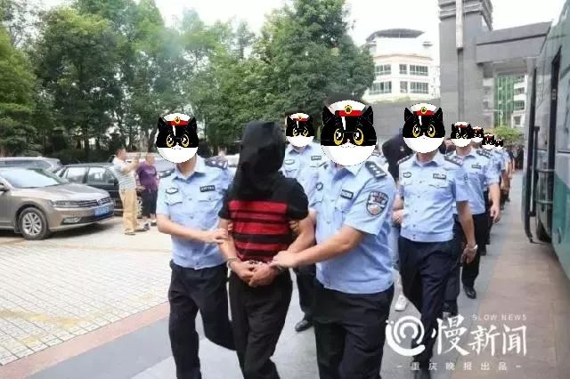 钻石画骗局涉嫌什么罪,净网2019文字诈骗案例