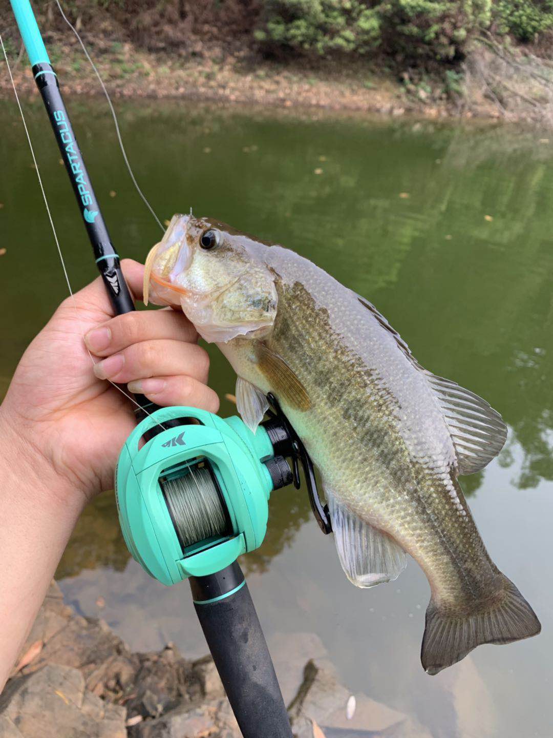 路亚大师教你野钓技巧,野钓鱼大师技巧讲解