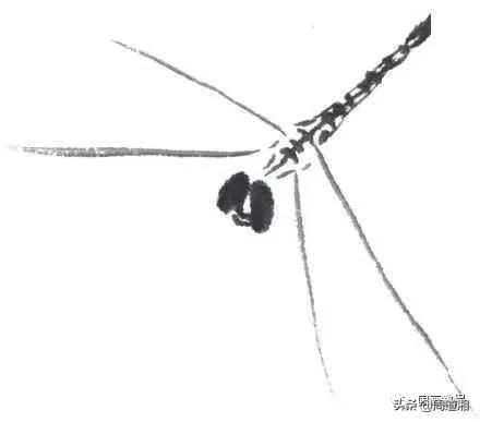 莲花和蜻蜓国画画法,飞行蜻蜓国画图片