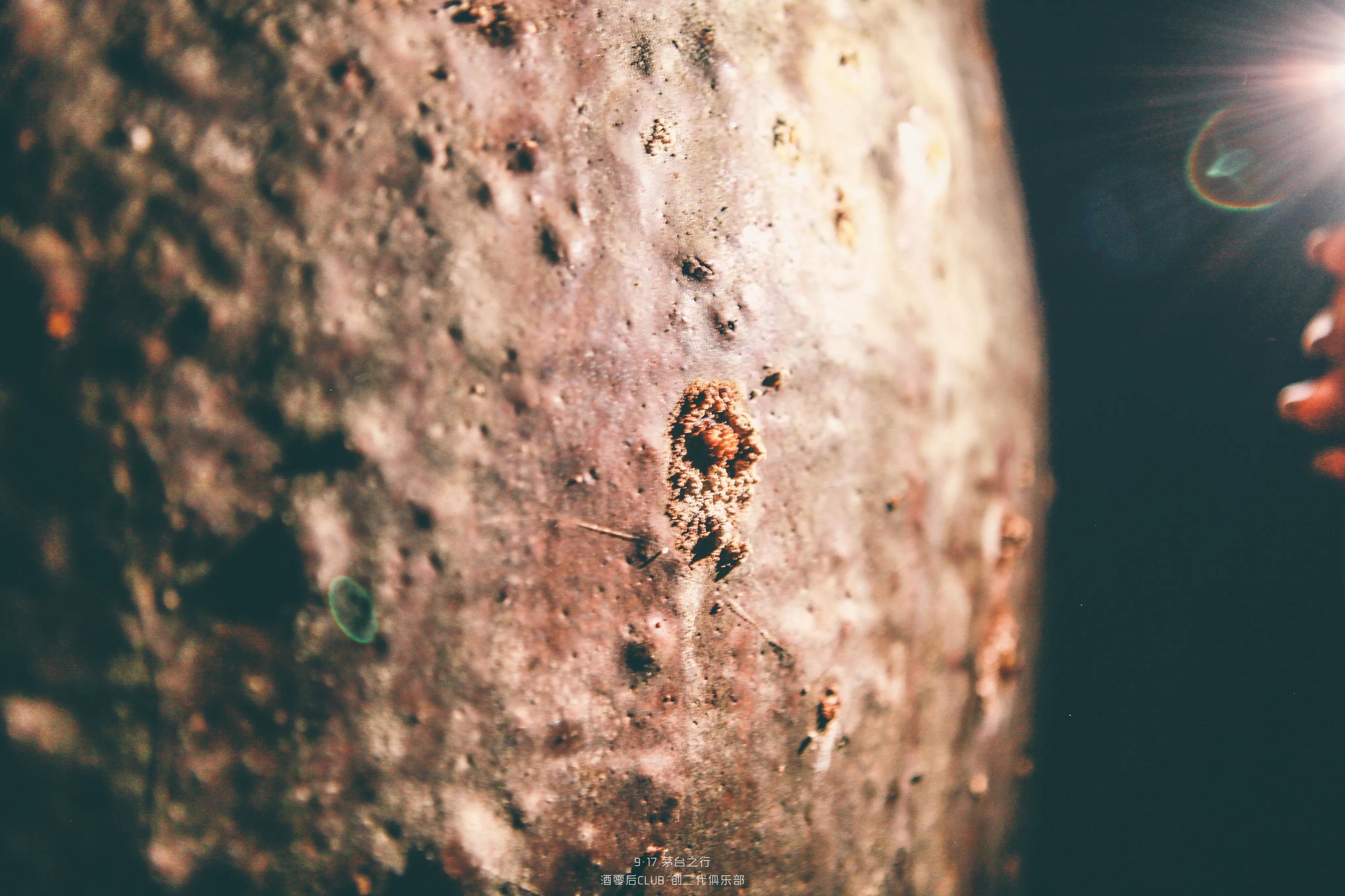 真茅台假茅台的区别,茅台贵宾用酒是不是假茅台