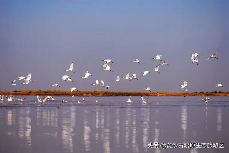 五一假期丨宁夏黄沙古渡景区实惠好玩降物价！