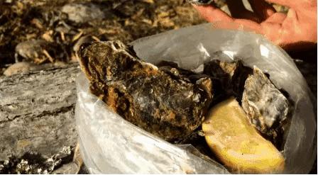 在新西兰吃过的美食,新西兰美食100种