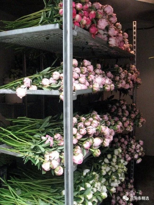 鲜花行业受到电商冲击吗,线上花店的5种盈利模式