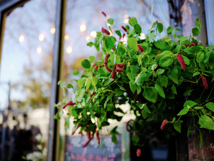 富士gfx50s2代中画幅相机值得买吗,富士中画幅相机gfx50sii测评