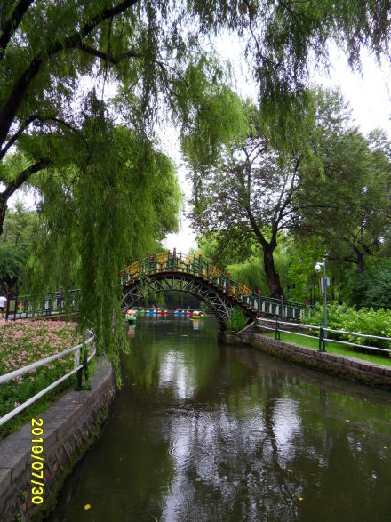 哈尔滨市内环境,哈尔滨一年四季的现状