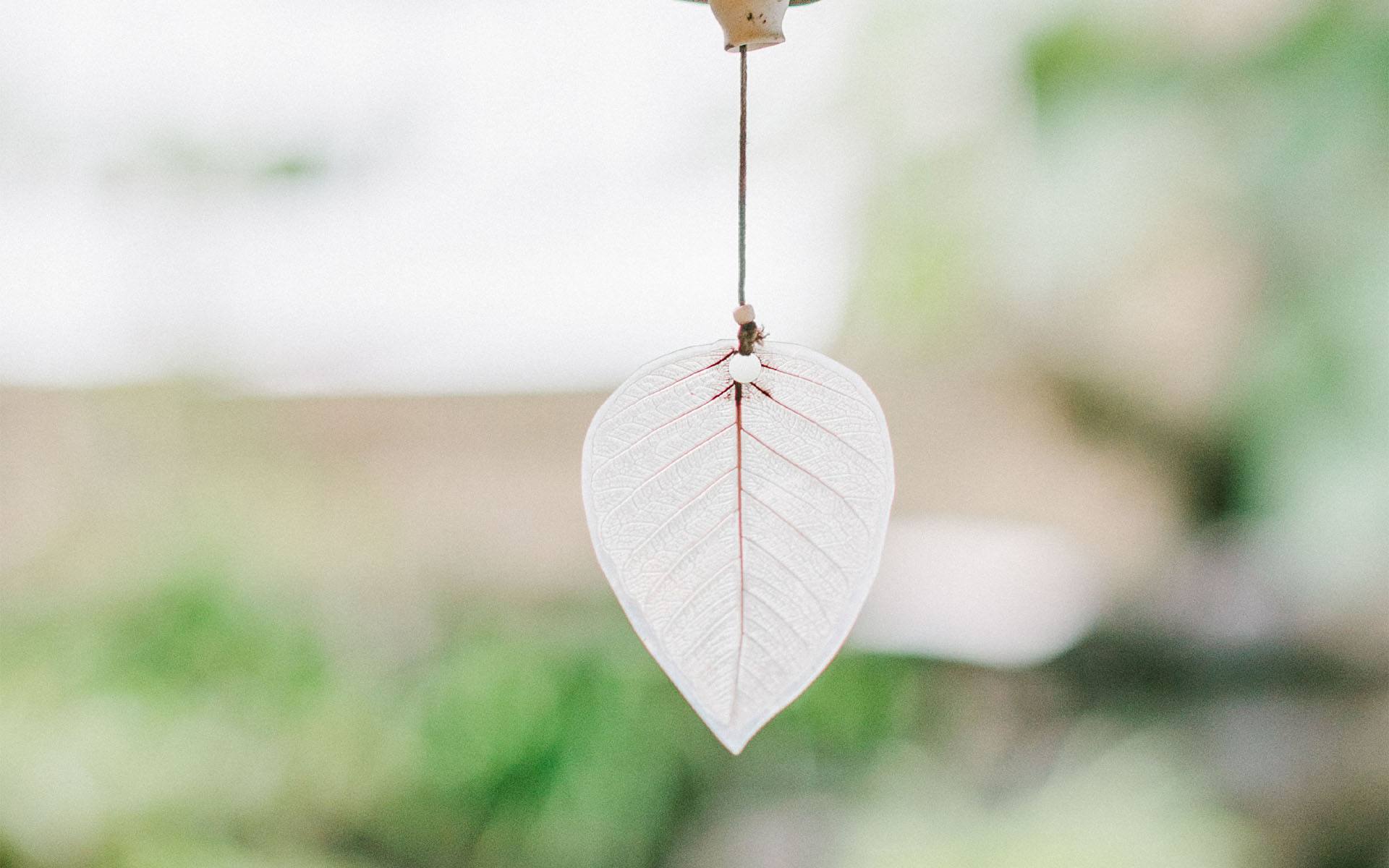 最流行的2024年短语,2020年最流行话语