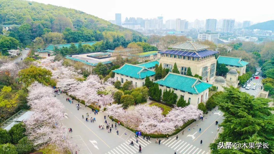 最佳赏樱攻略,2021赏樱攻略来啦快来看