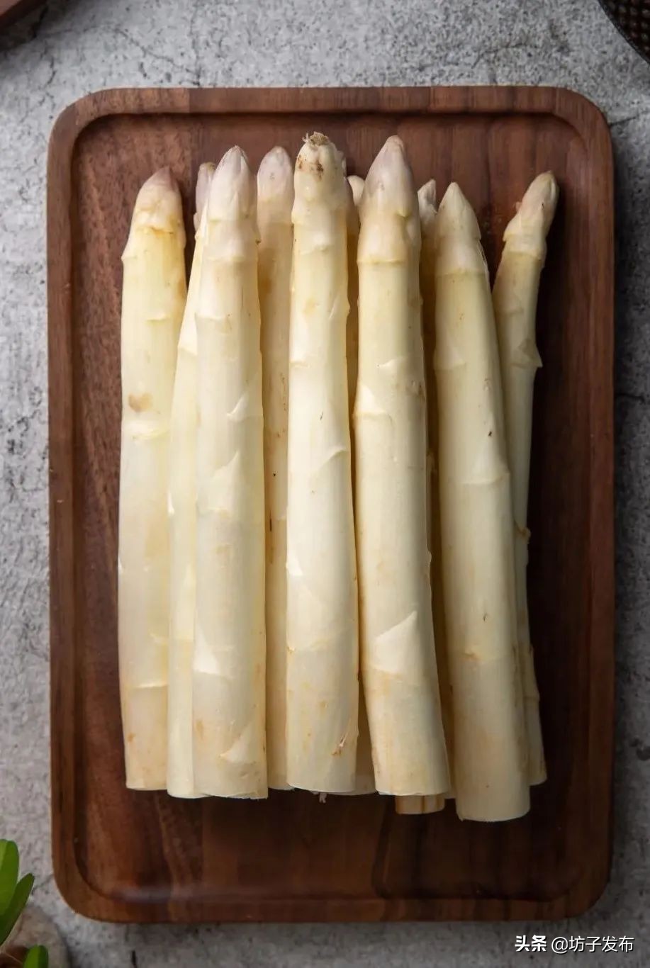 鎴戜滑鏉ュ埌浜嗕腑鍥界殑鑺︾瑡涔嬩埂,鍧婂瓙鑺︾瑡