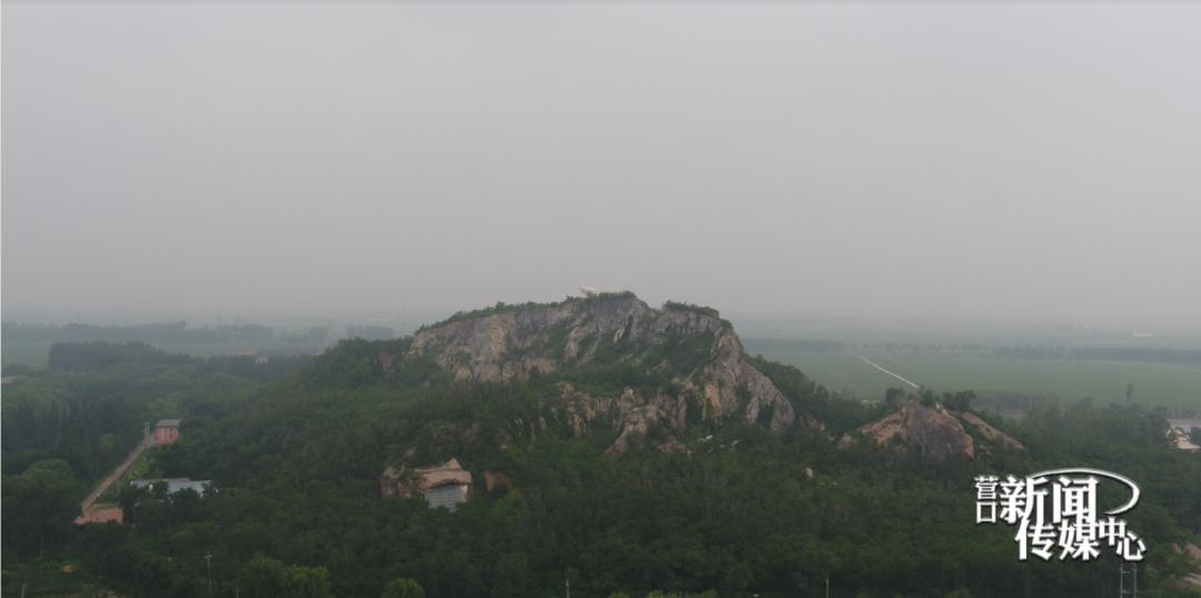 早安营口新闻,早安营口2019年5月16日