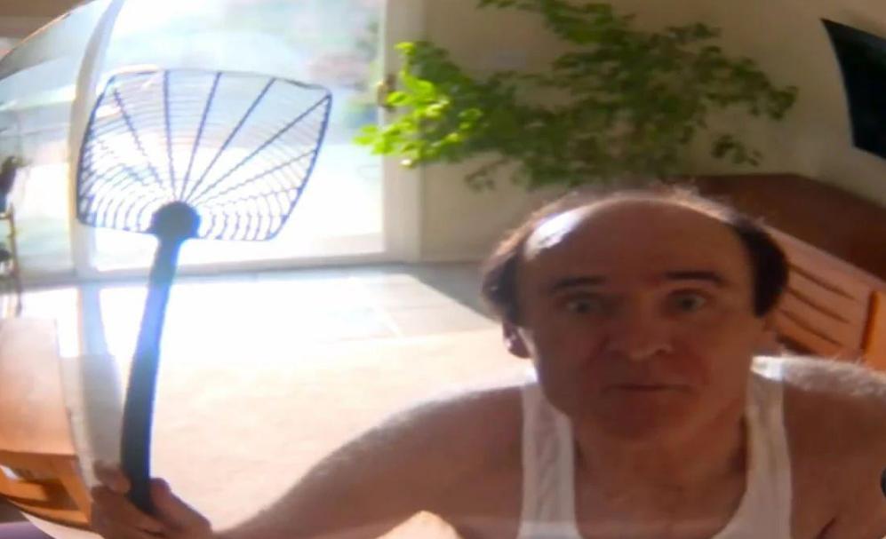 苍蝇为什么要停下一直搓手视频,为什么苍蝇一停下就搓手