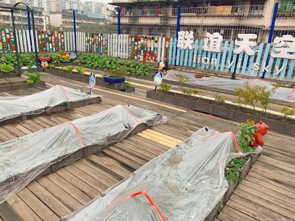 成都武侯探店,成都高性价比民办园