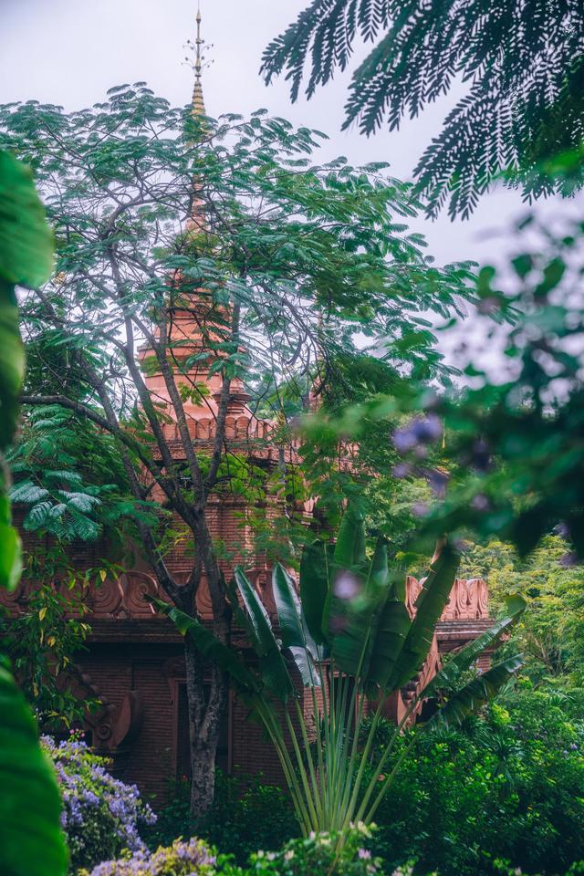 西双版纳曼听公园御花园,曼听公园西双版纳网红景点