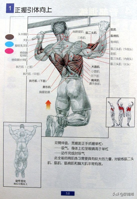 男士健身的进阶之路,男士运动健身全攻略