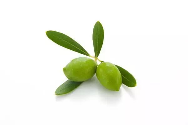 橄榄油美食,橄榄油臻颜精粹