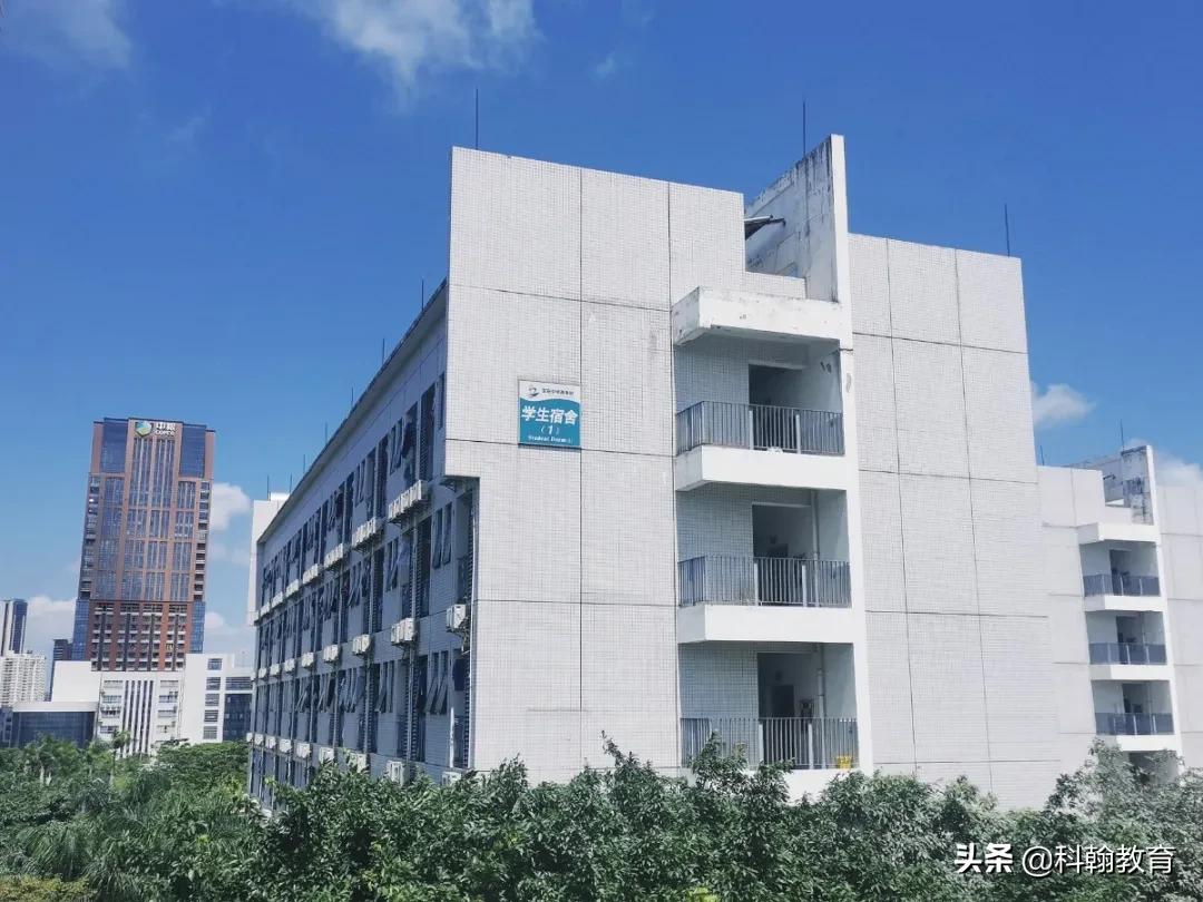 深圳读书的真实感受,深圳高中读书体验