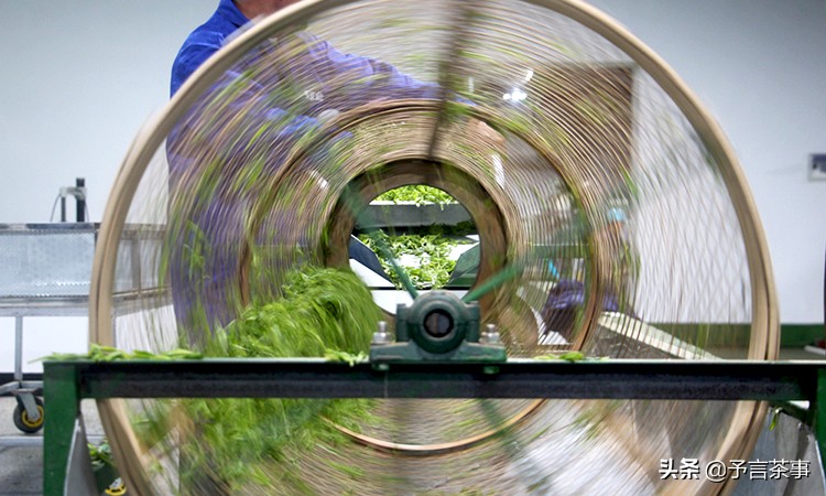 安徽产茶,中国产茶的四大茶区