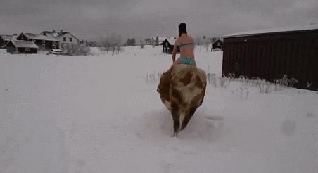 世界行为迷惑大赏,世界迷惑行为大赏解说