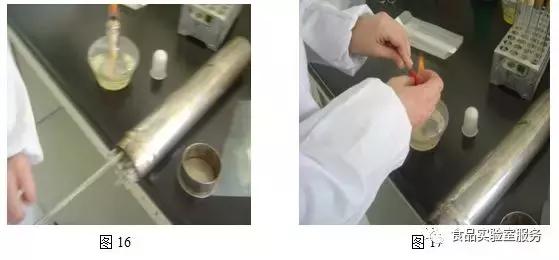 微生物取样、样品制备技巧及稀释、接种、培养方法汇总