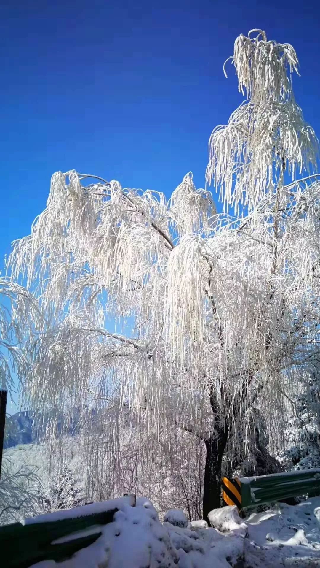 看一眼纯纯的凤县蓝，这就是我爱上凤县冬日的理由