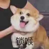 一个461.40驱动引起的“血案”